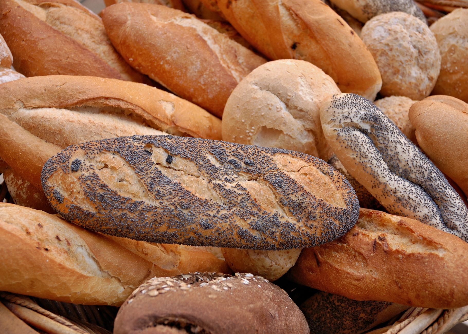 Fresh Baking — Sassy's Bakery, Thorndale ON